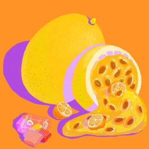 Hydrangea Coffee Roasters